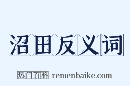 沼田反义词是什么意思的图片